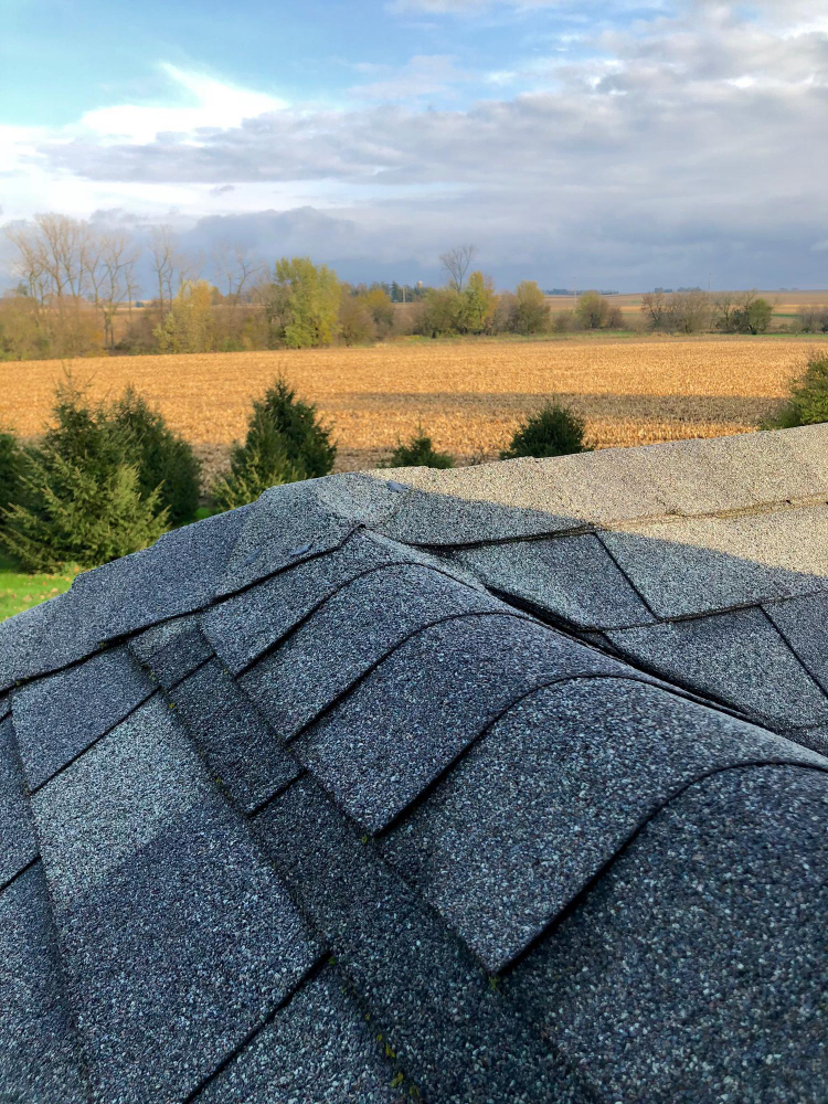roofing professional