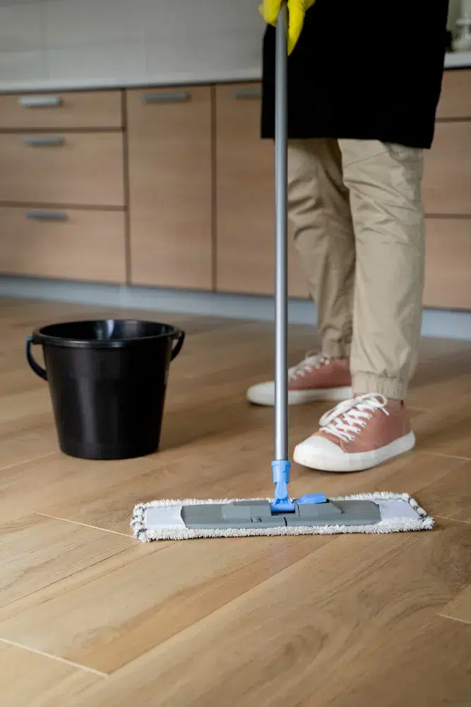 Dryout Services
